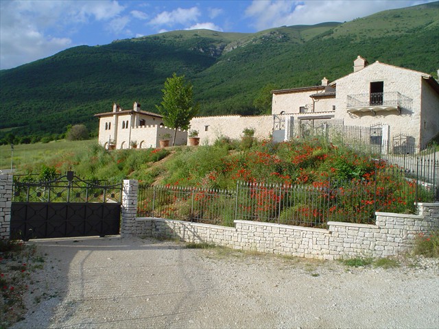 DSC00703