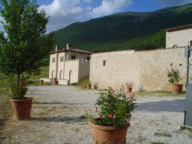 DSC00705