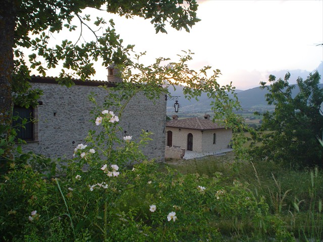 DSC00724